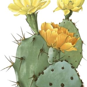 Meet your Posher, Sherrie